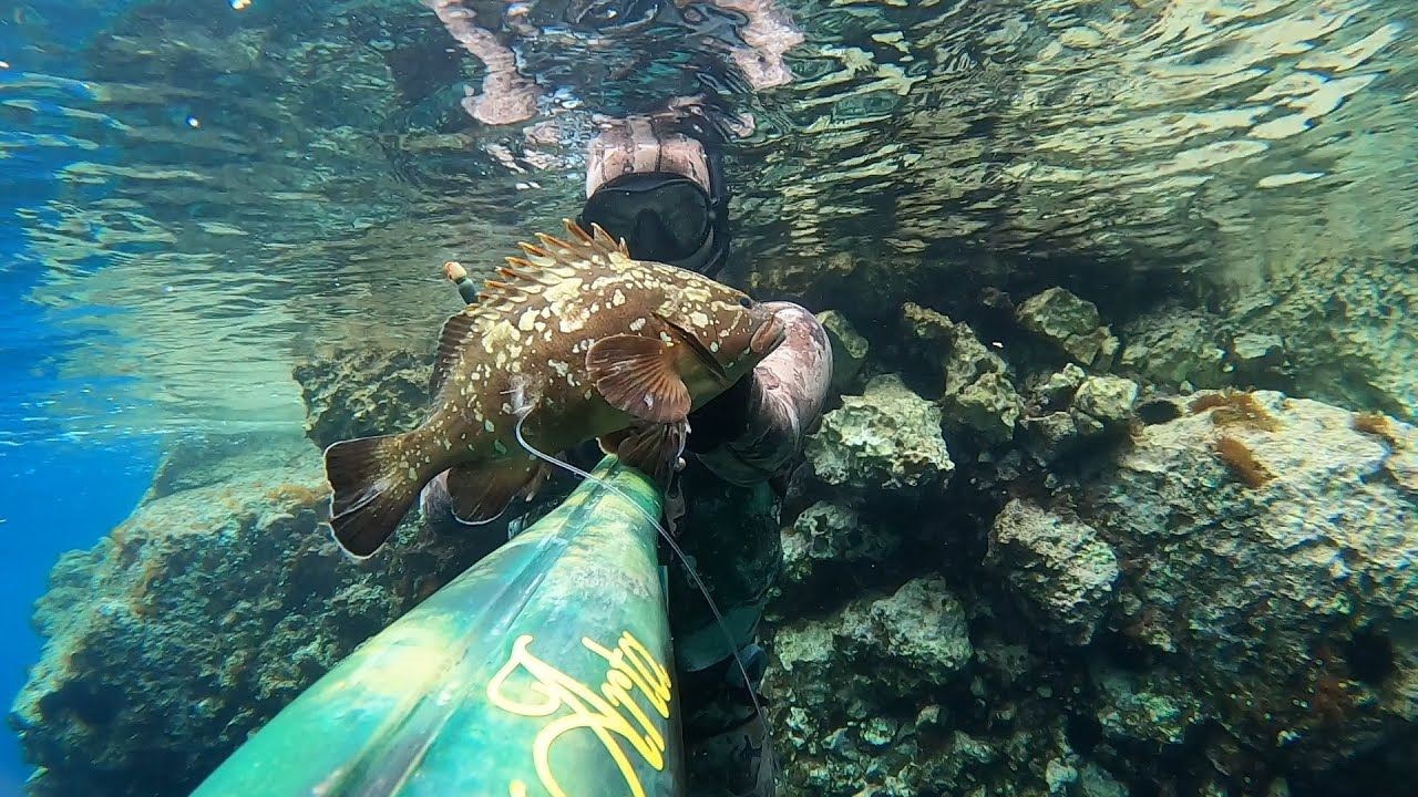 Adriatic spearfishing - Podvodni ribolov Dalmacija