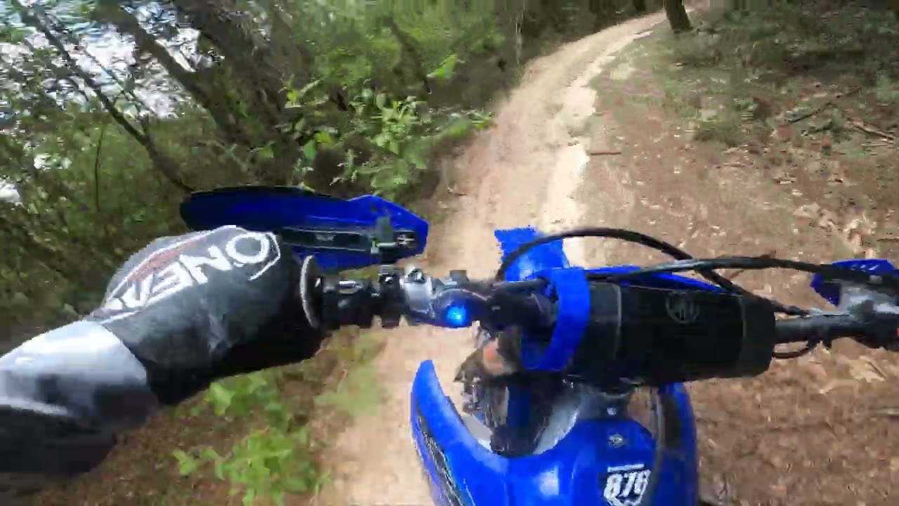 Ripping up the woods! Clear Creek ohv Milton, Florida