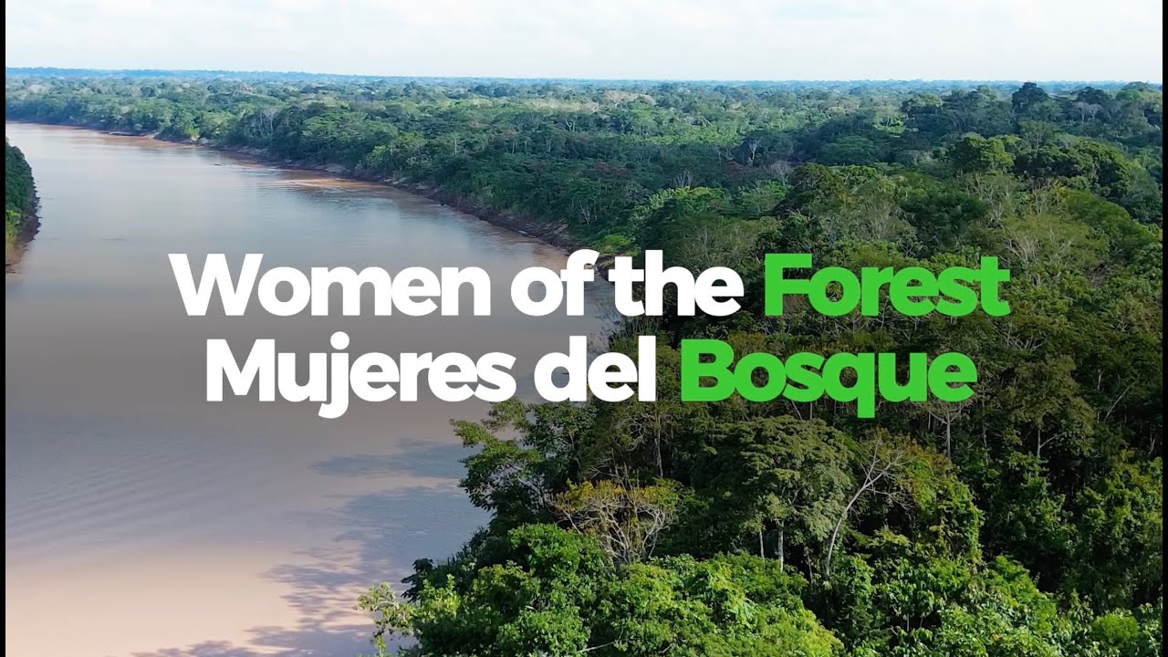Women of the Forest | Amazon Conservation
