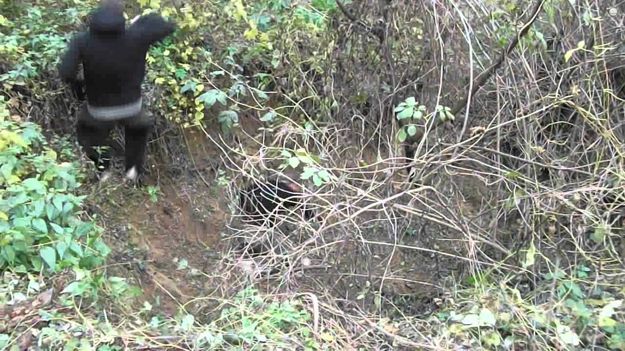 Escape from the Witch!