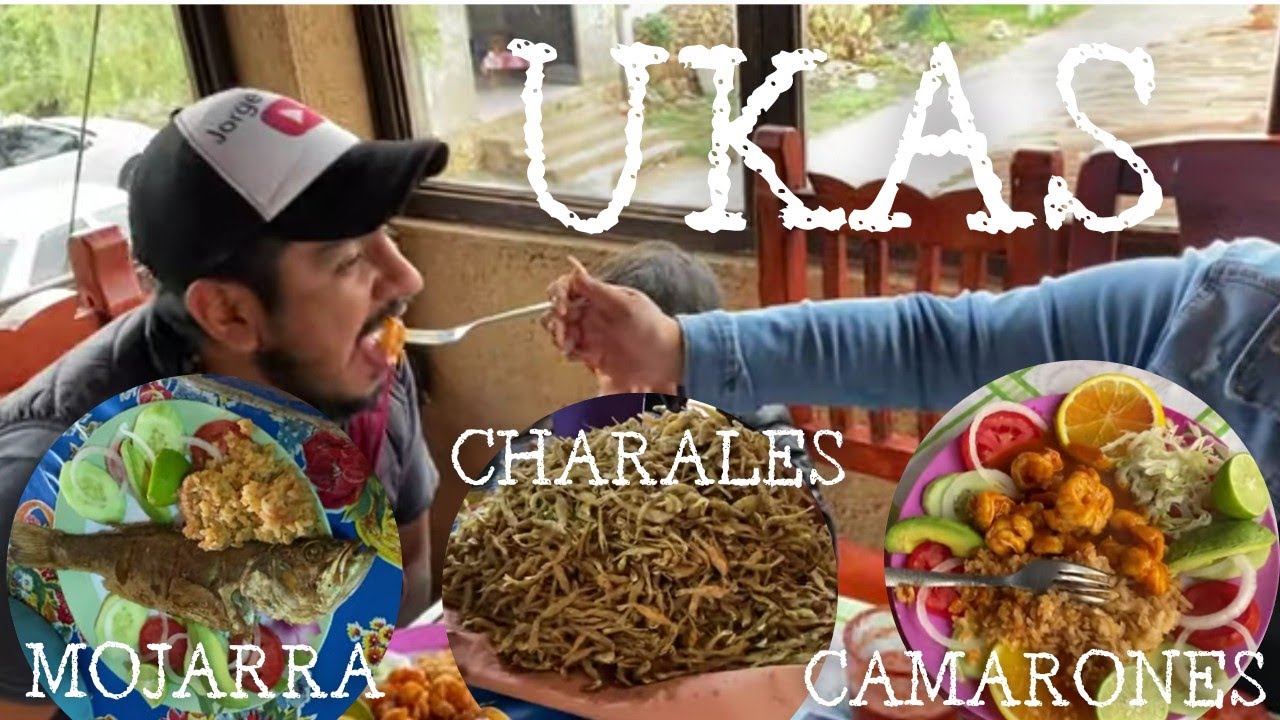 NOS INVITARON UNA RICA COMIDA EN UKASANASTACUA TODO ESTUBO DELICIOSO 😋