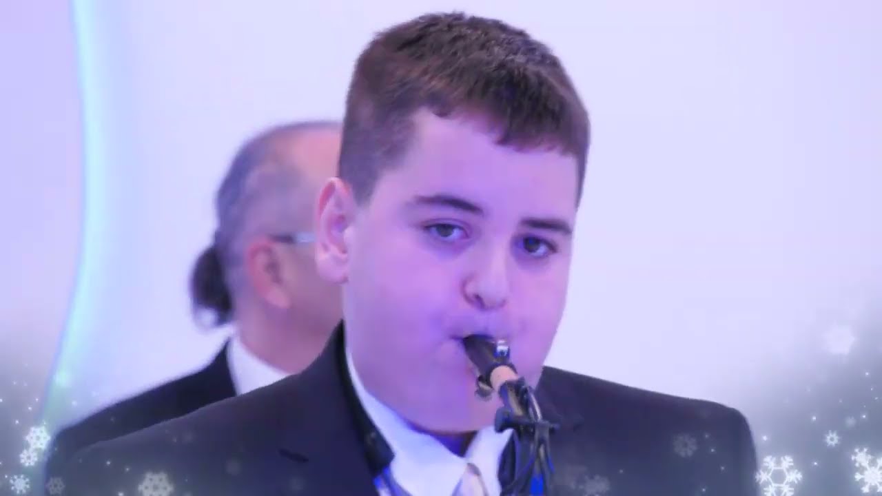 Stefan Mladenović - Visino kolo