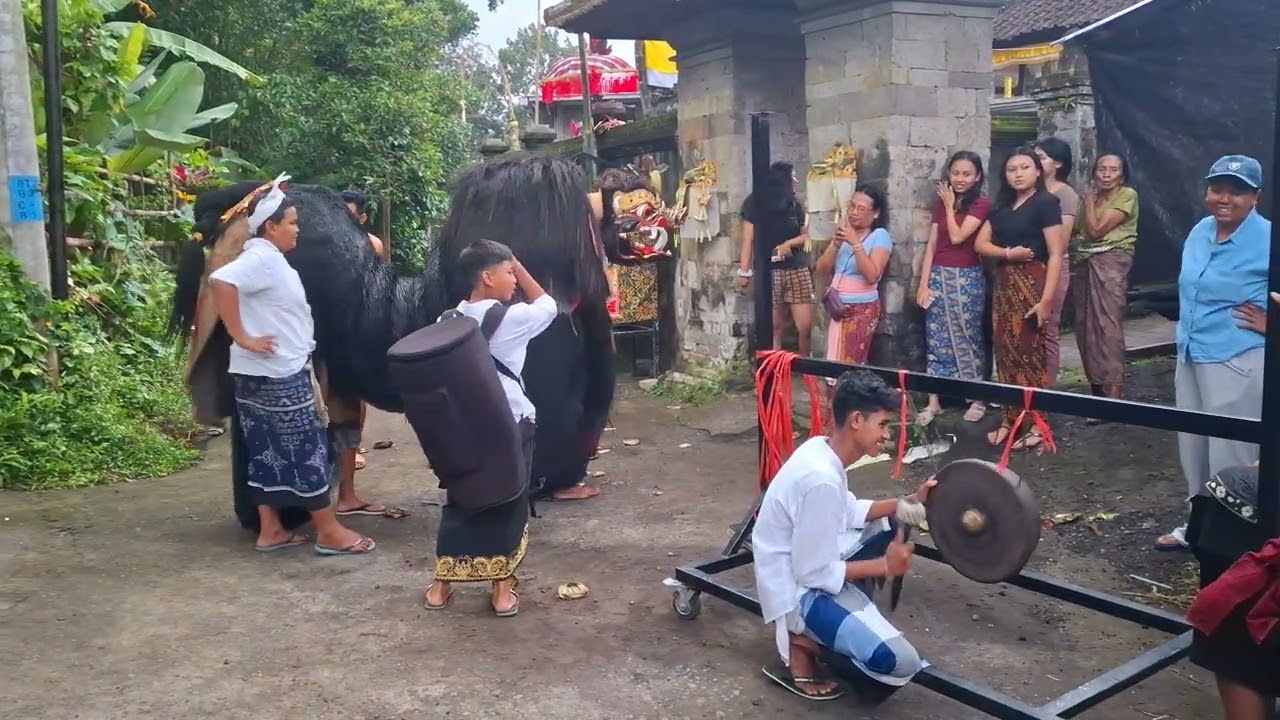Ngelawang Perayaan Hari Raya Galungan Desa Perean, Baturiti, Kabupaten Tabanan.@InfoBaliTerbaru 