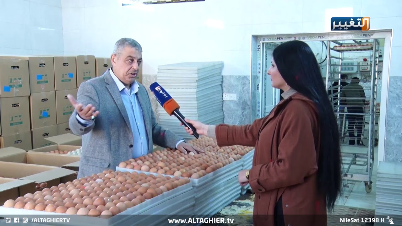 هل هنالك حرب على البيض العراقي ؟ | تقرير