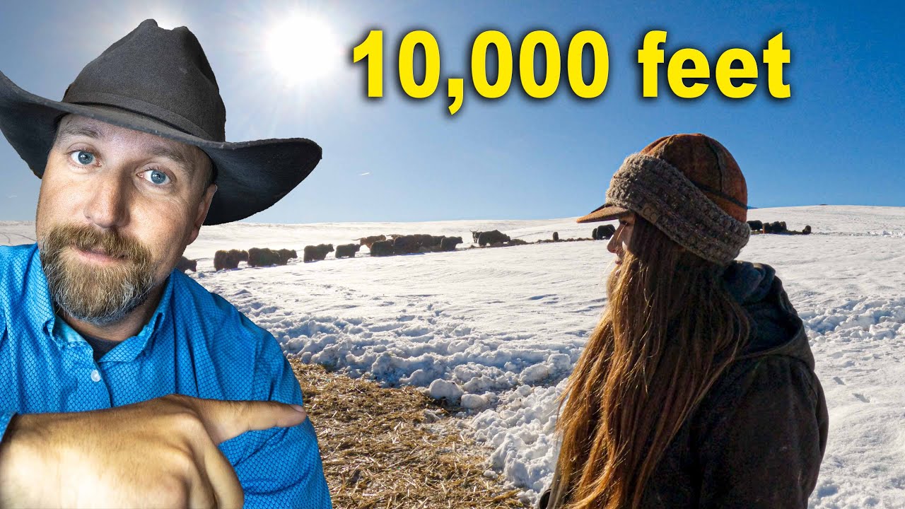 Женщина-скотовод, живущая на высоте 10 000 футов!!