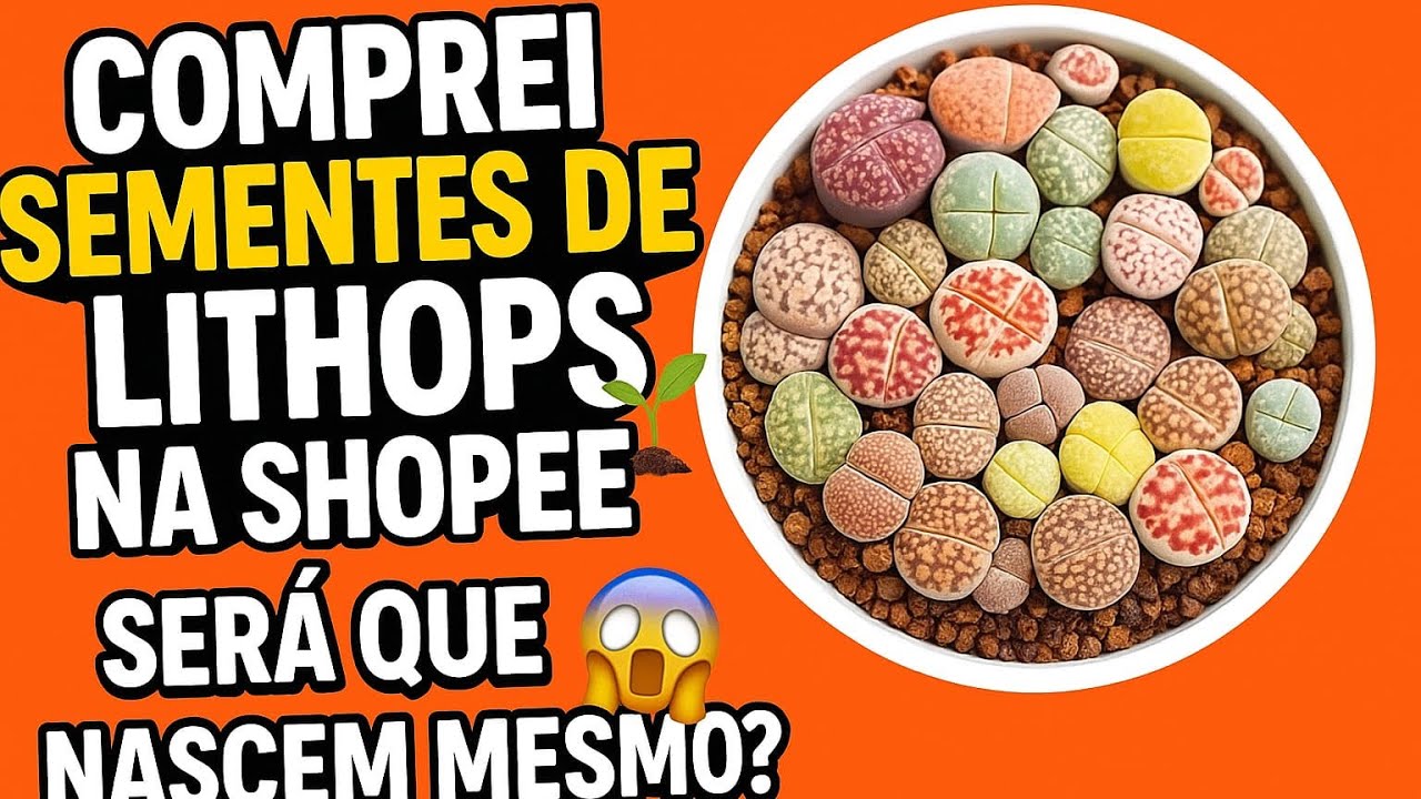 Comprei sementes de plantas pedra na Shopee 😱 Será que nascem mesmo?