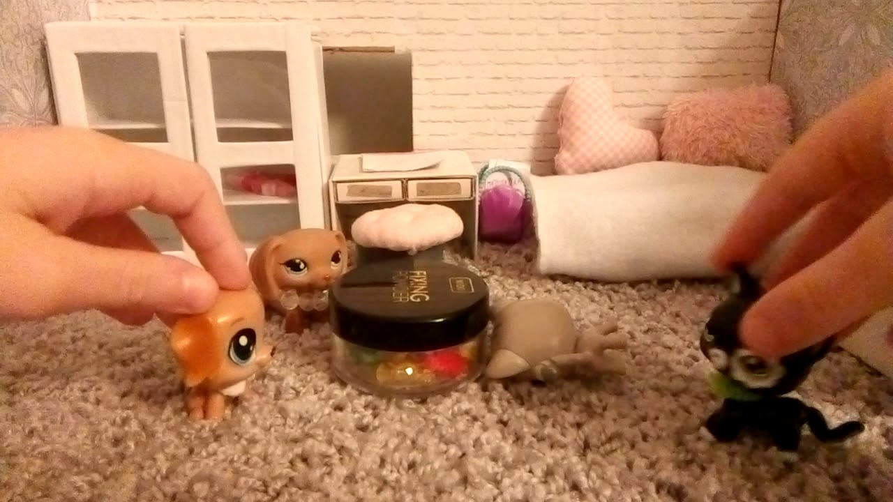 Littlest Pet Shop LPS - Impreza (po polsku)