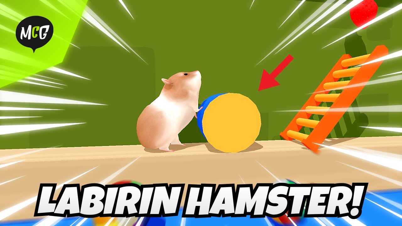 Bantu Hamster Mencari Jalan keluar! - Hamster Maze