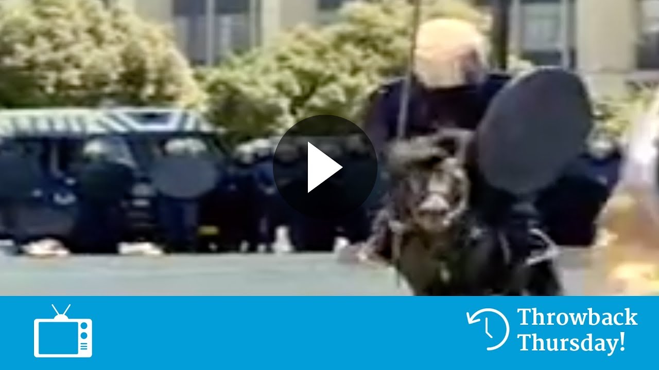 Zero Tolerance (Ivanhoe) -- Delta Lloyd reclame