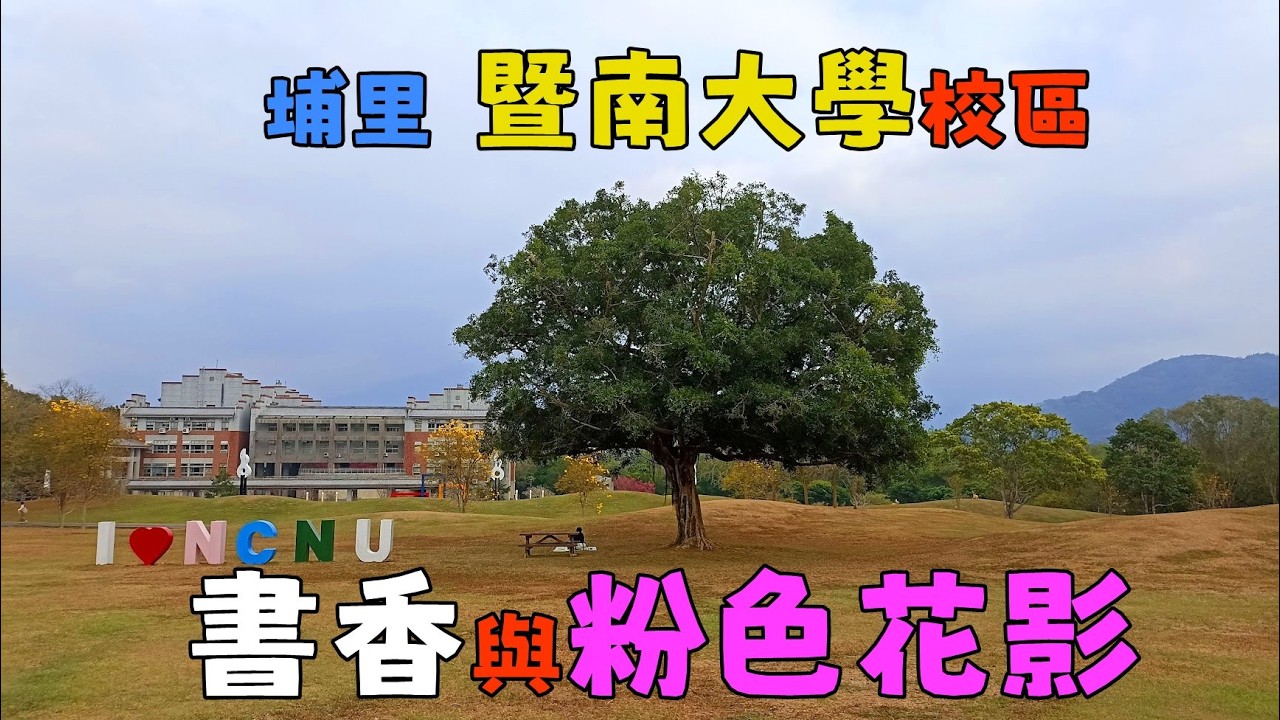 【埔里 暨南大學校區的書香與粉色花影】【悠閒生活】暨南大學櫻花|埔里賞櫻景點|南投櫻花秘境|暨南大學校園櫻花|八重櫻滿開|山城賞花|埔里春天景點