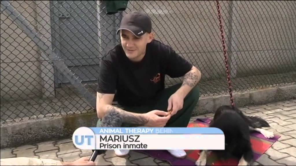 Animal Therapy Behind Bars: Animal offenders train dogs in prison therapy programme