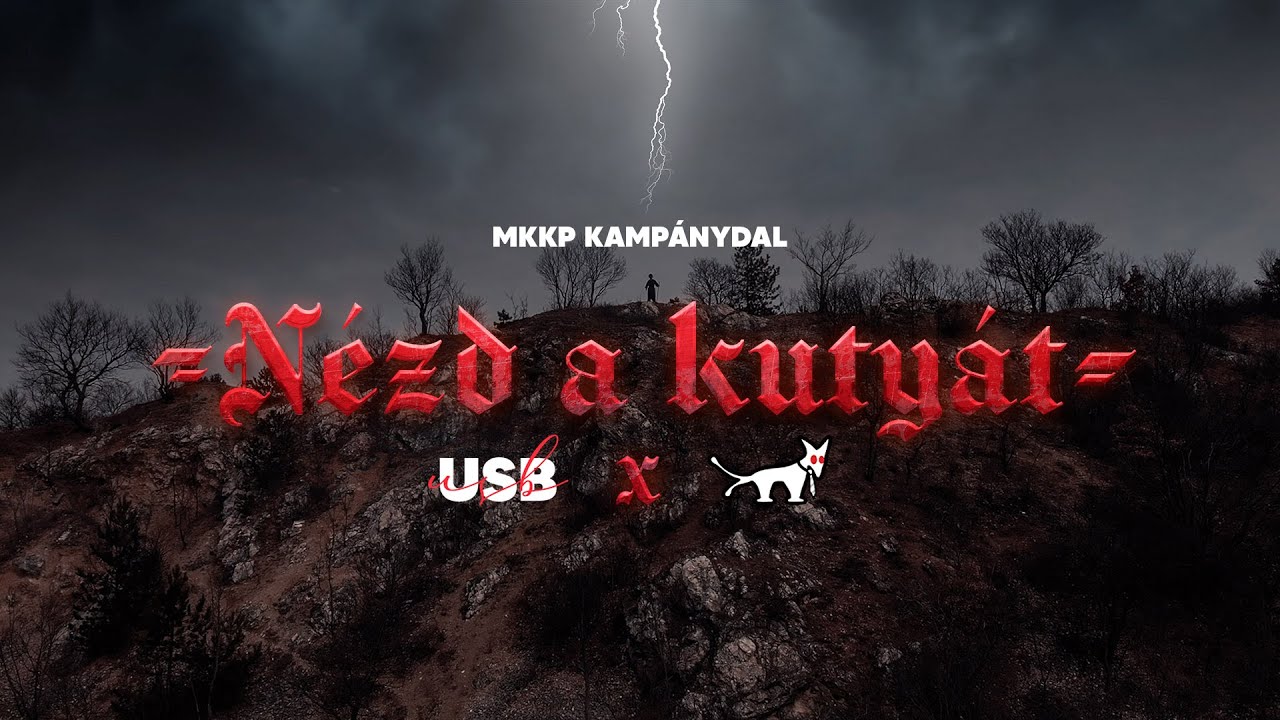 USB - NÉZD A KUTYÁT (MKKP - Kampánydal 2022)