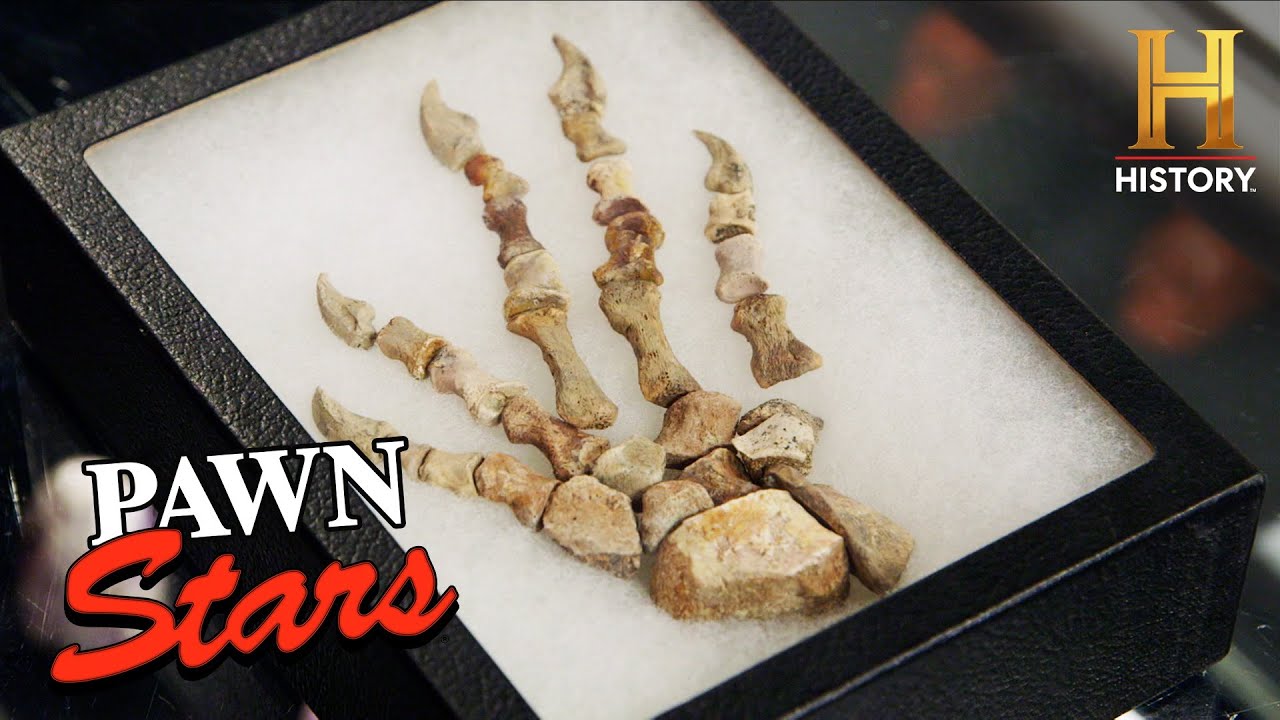 SUPER OLD Dimetrodon Fossil is SUPER PRICEY (Season 21) | Pawn Stars