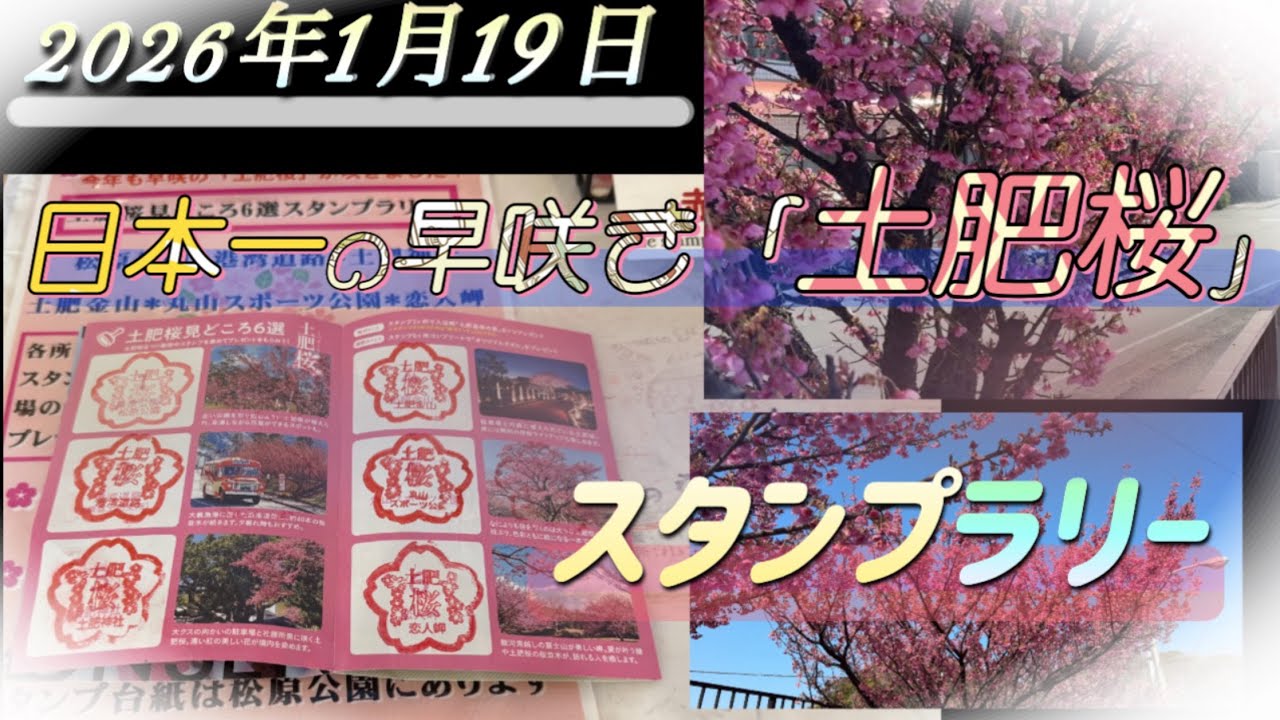 日本一の早咲き「土肥桜」スタンプラリー