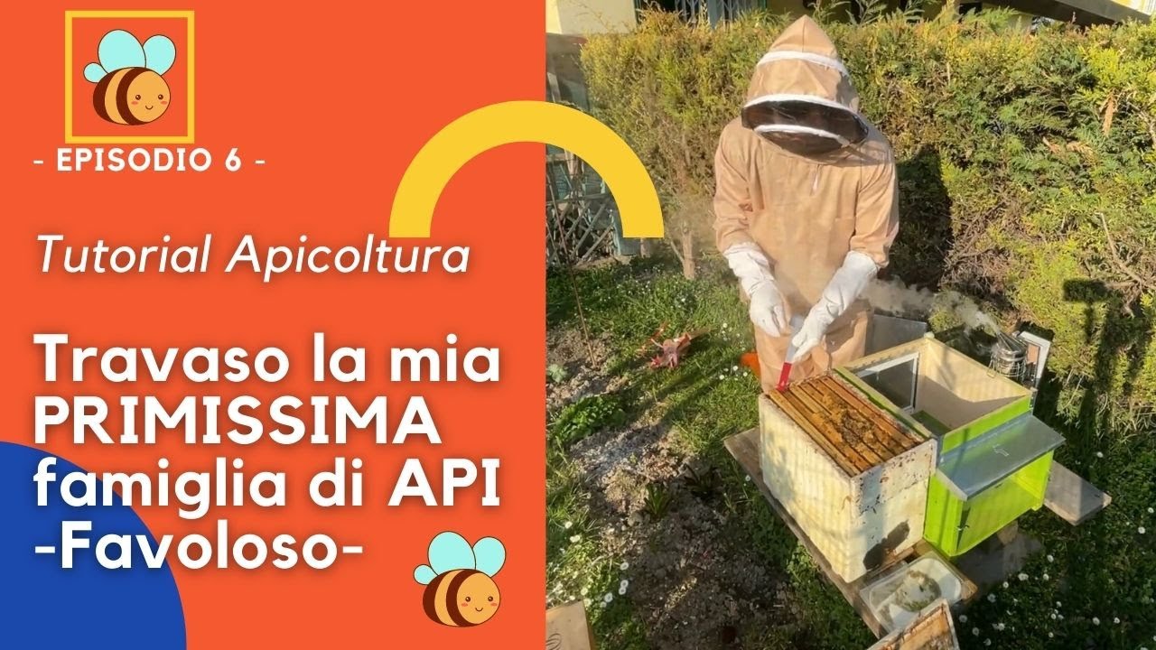Travaso Api 🐝  nella loro nuova Casetta! - Prima Esperienza -