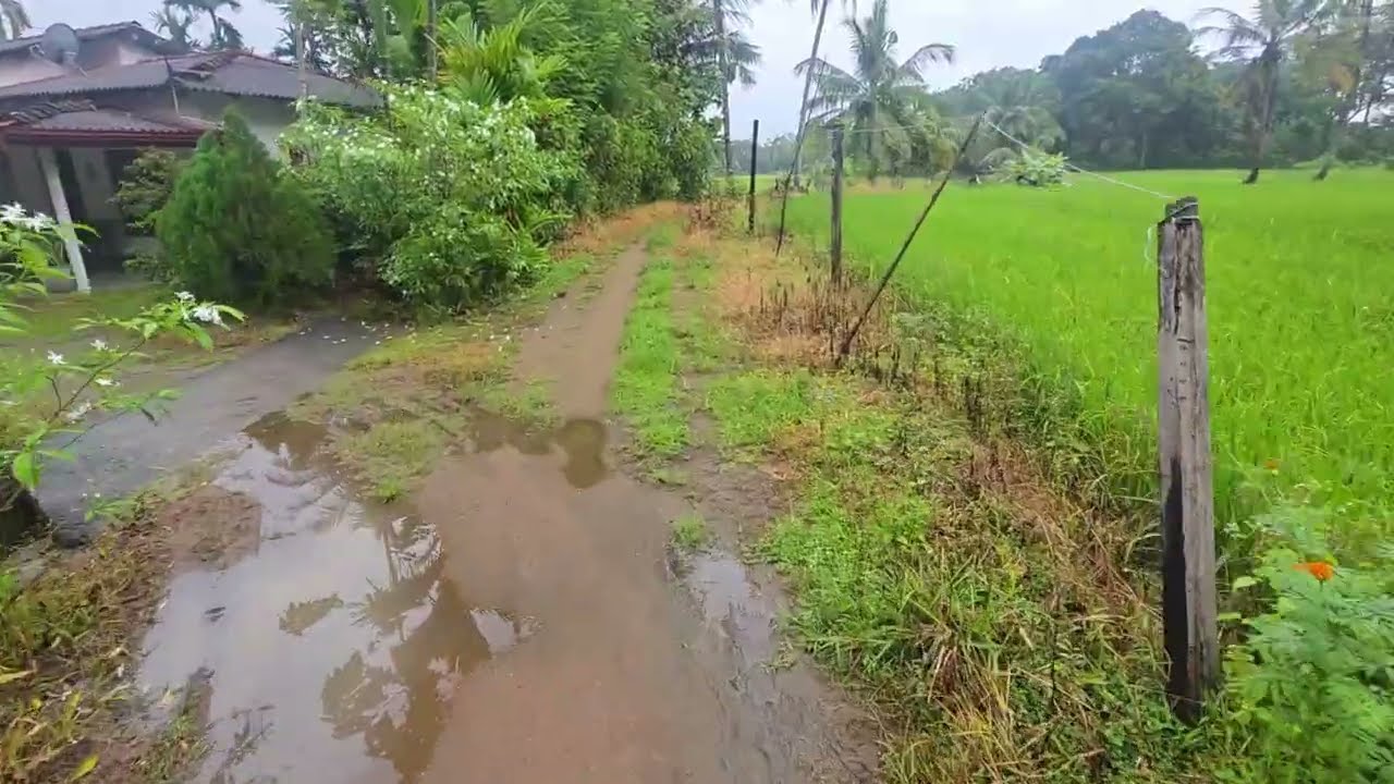 This Path Feels Underused