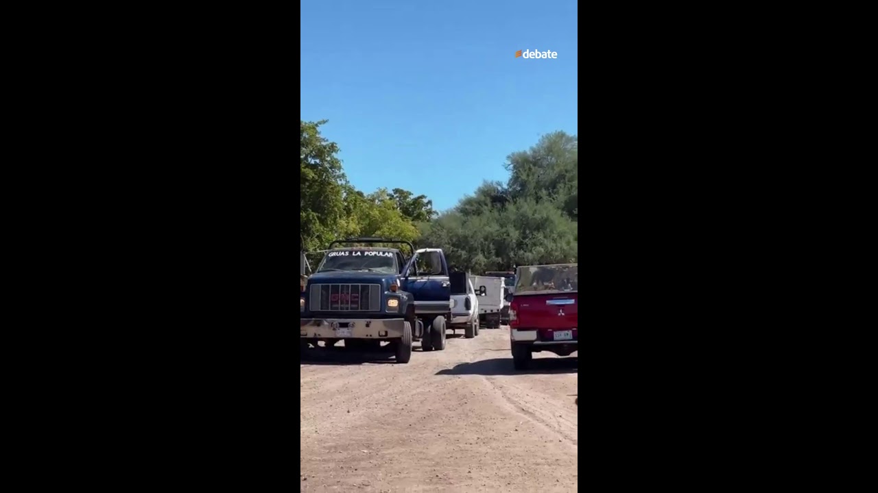EN VIVO | Cateo en proceso: Fuerzas federales revisan vivienda en Guamúchil 🚔