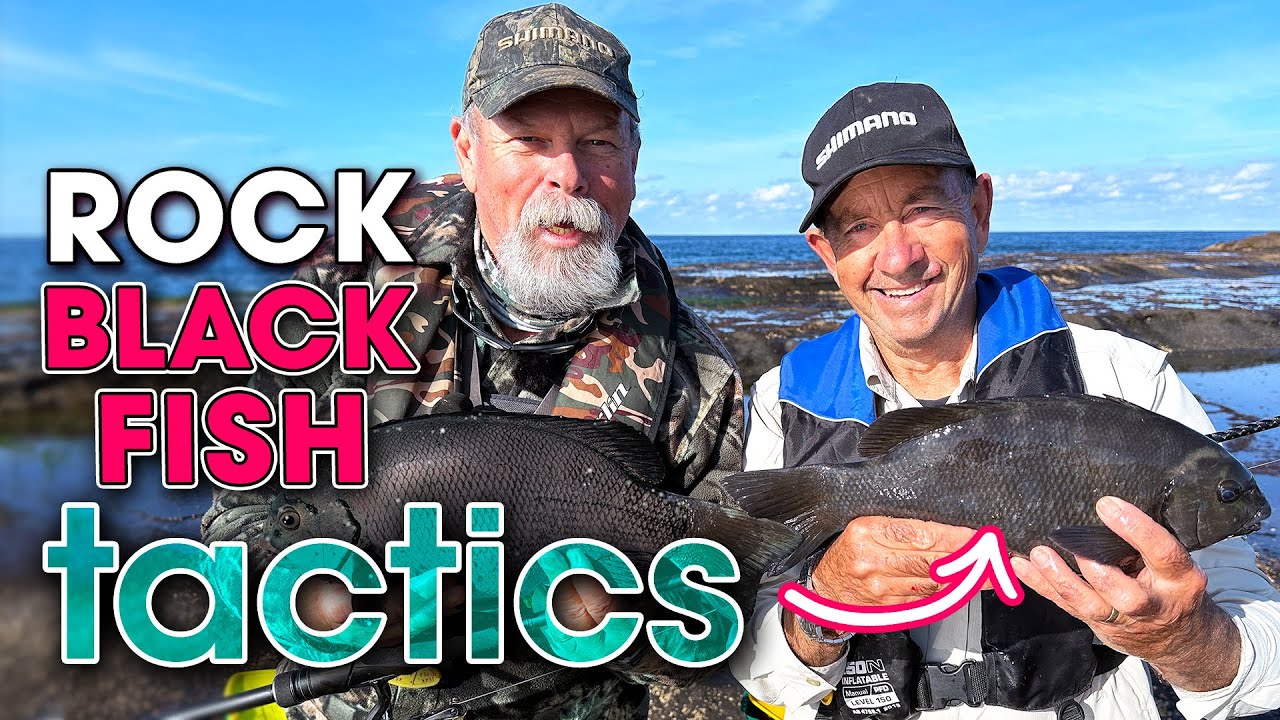 How to CATCH + COOK Rock Blackfish: Two BEST Methods ✅✅✅
