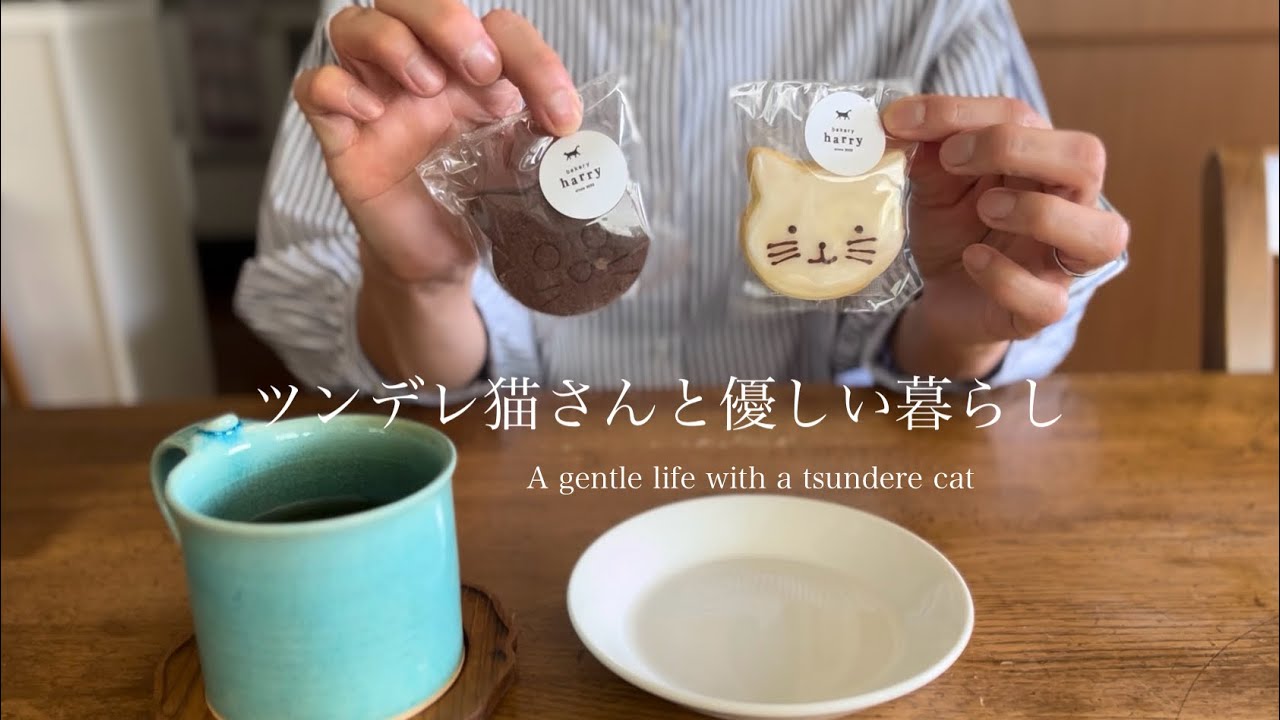 【ツンデレ猫さんと優しい暮らし】札幌の母に会いに行く~