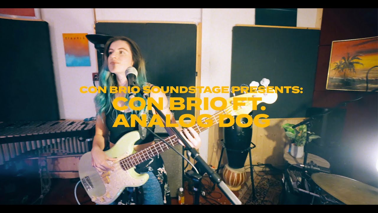 Con Brio ft. Viveca Hawkins & Analog Dog /// Skin on Skin (Franc Moody)