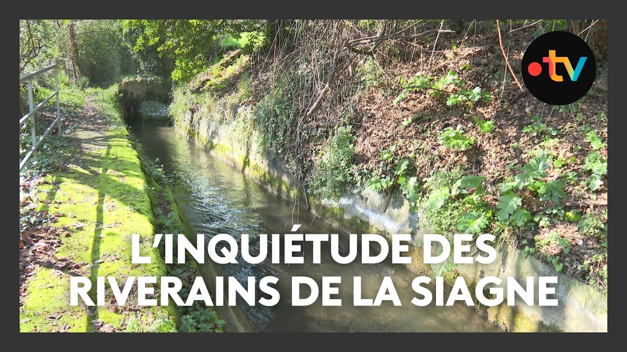 À Grasse, les riverains de la Siagne inquiets d'un périmètre de protection autour du fleuve