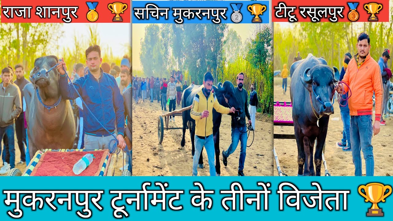 आज के टूर्नामेंट के चैंपियन झोटे जिन्होंने दिखाया जलवा #up20katralover 