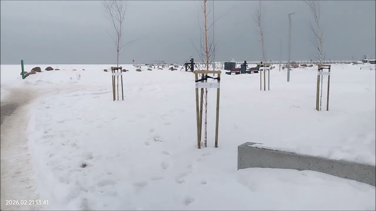 2026 02 21 Mechelinki zamarznięta zatoka