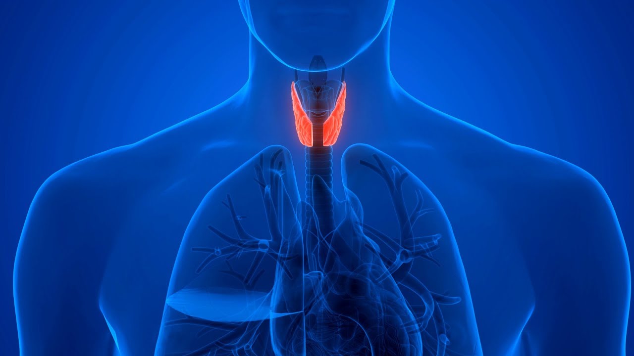 Thyroid Disease in Children