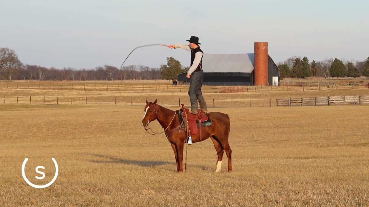 LOT 522 - Extremely Hot Iron : Boone County Draft and Quarter Horse Sale