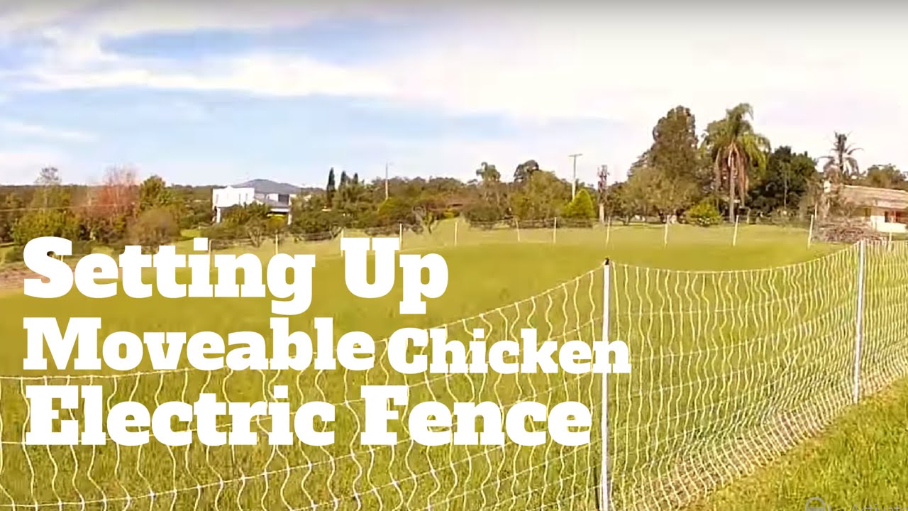 Setting up Moveable Chicken Electric Fence