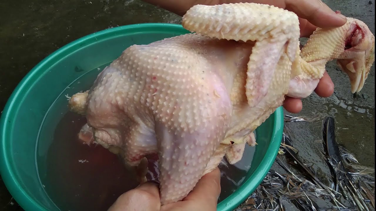 Học mổ moi g&agrave;