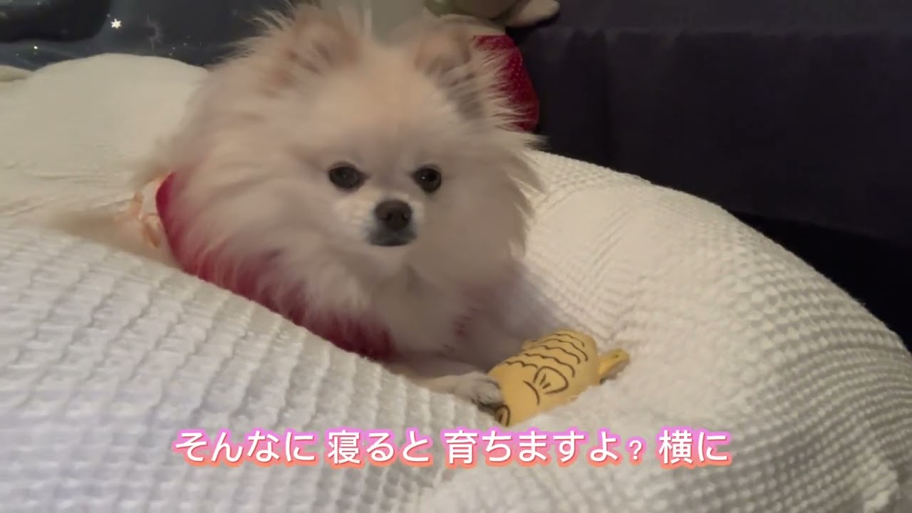 おやすみなさいのその前に