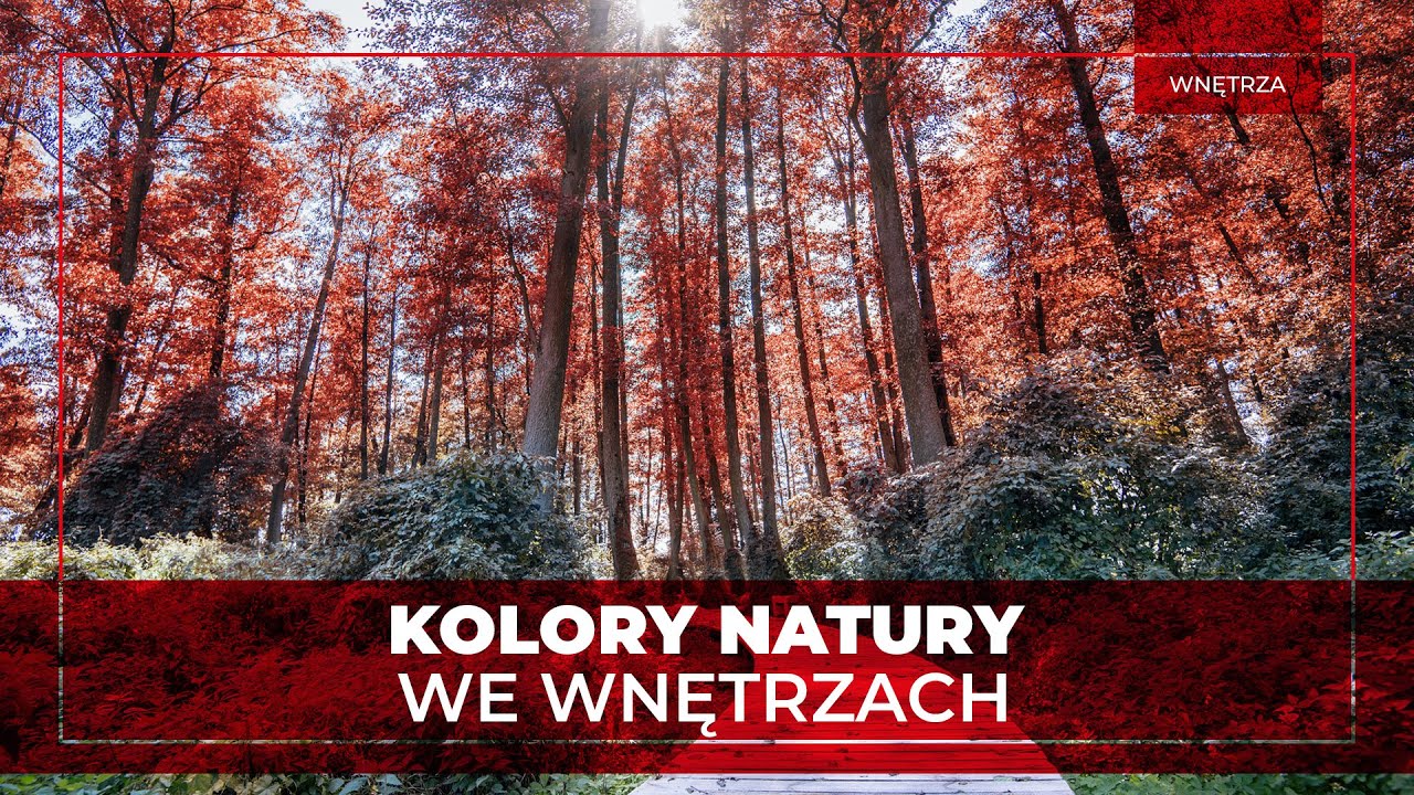 Jak przenieść naturę do wnętrz mieszkań? | Kolory ziemi w Twoim domu