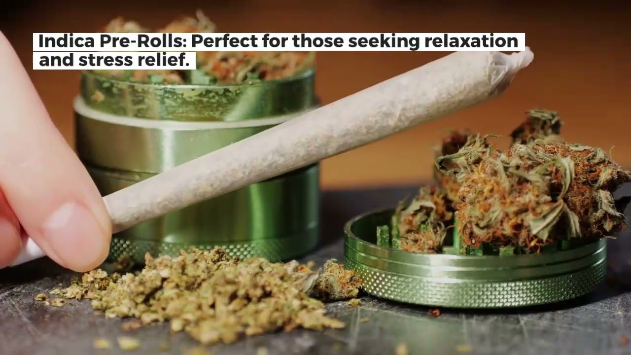 Exploring Cannabis Pre-Rolls at NorCal Holistics Dispensary and Weed Delivery in Sacramento