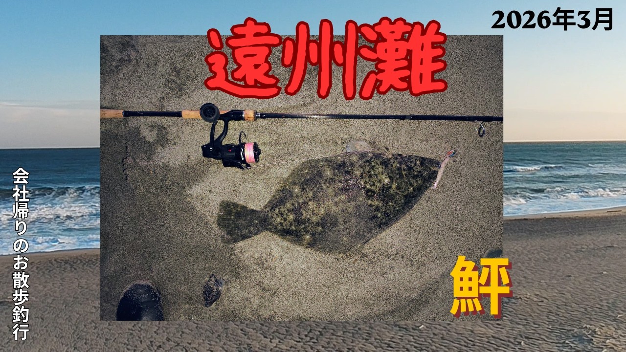 【遠州灘サーフ】良型ヒラメ釣れちゃいました(^^♪