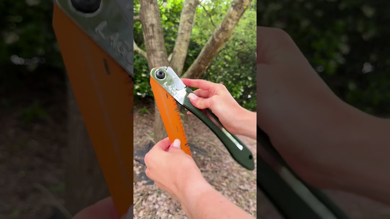 #LAGOMtools