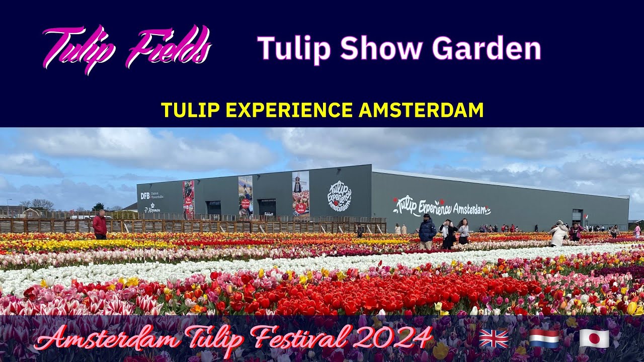 Tulip Show Garden - Tulip Fields - Amsterdam Tulip Festival 2024