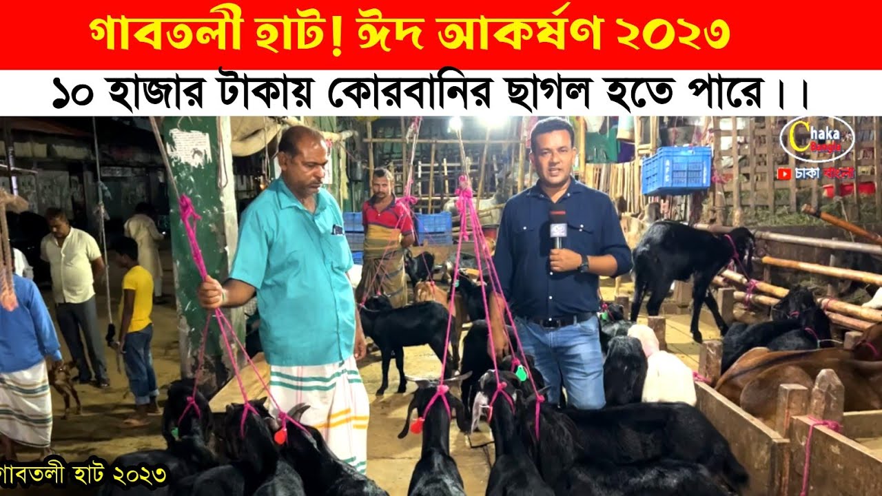 ১০ থেকে ১১ হাজার টাকায় কোরবানির খাসি ছাগল! গাবতলীর পশুরহাট 2023