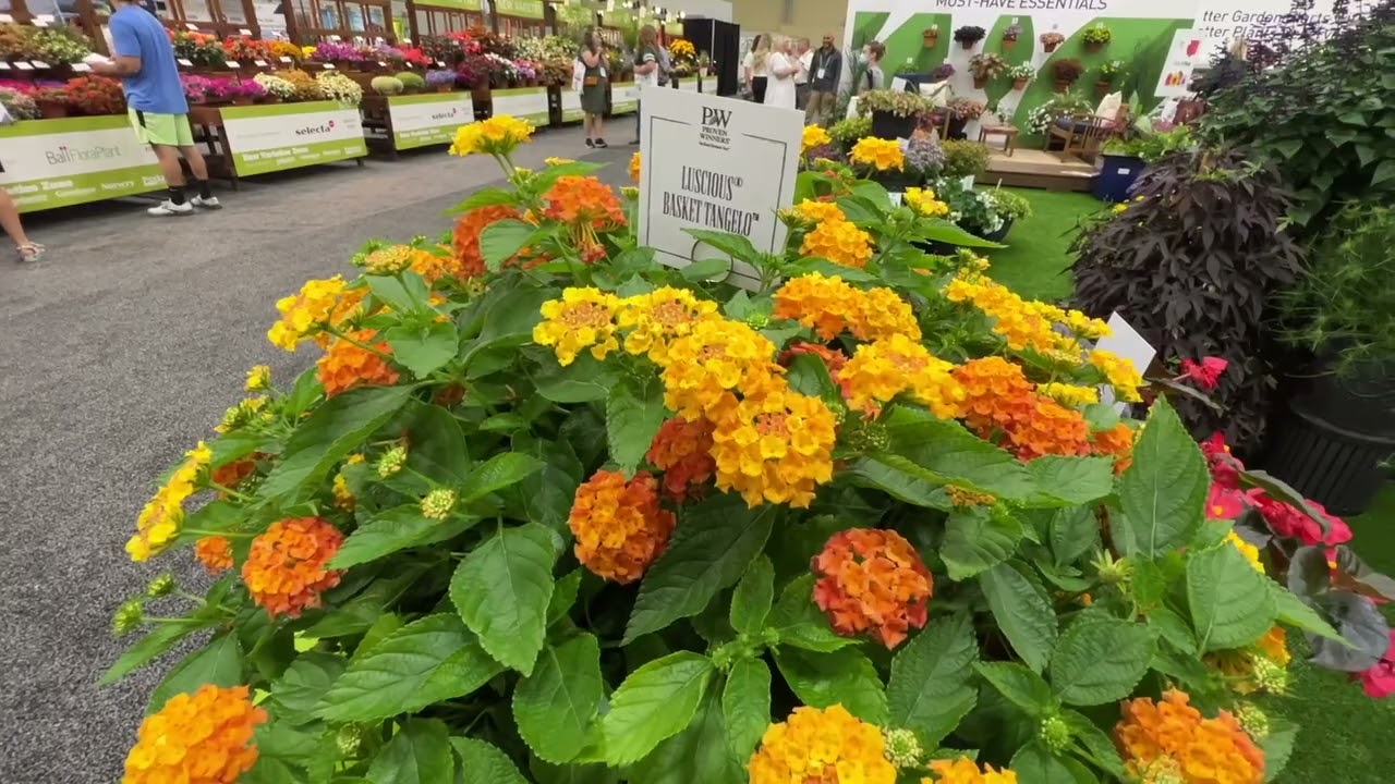 Proven Winners at Cultivate 2022- New Plants For 2023, LeafJoy, along with Exciting New Aquapot news