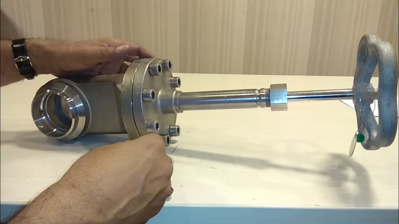 Piping Engineering : Cryogenic Gate Valve Internals