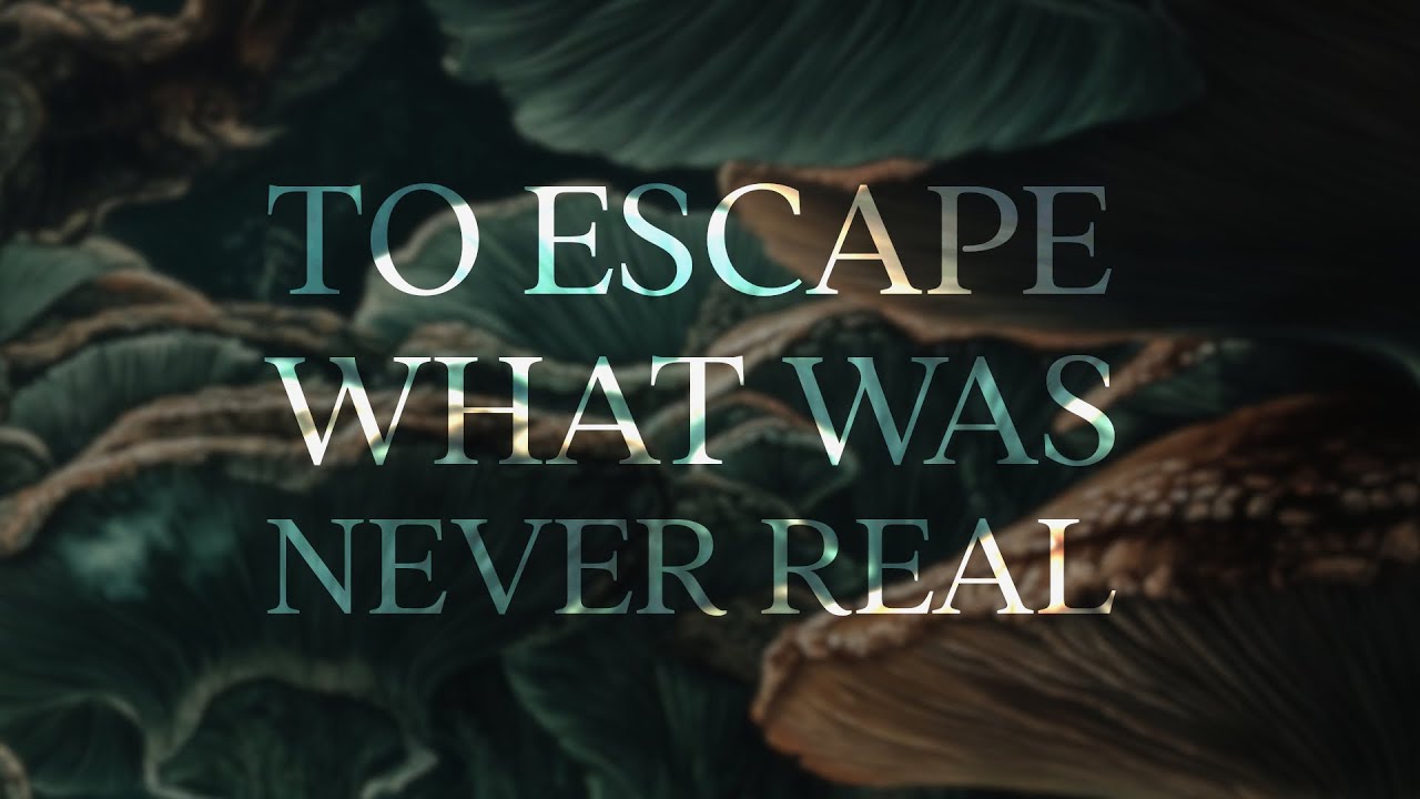 ANGERER - To Escape What Was Never Real | Epic Prog Rock