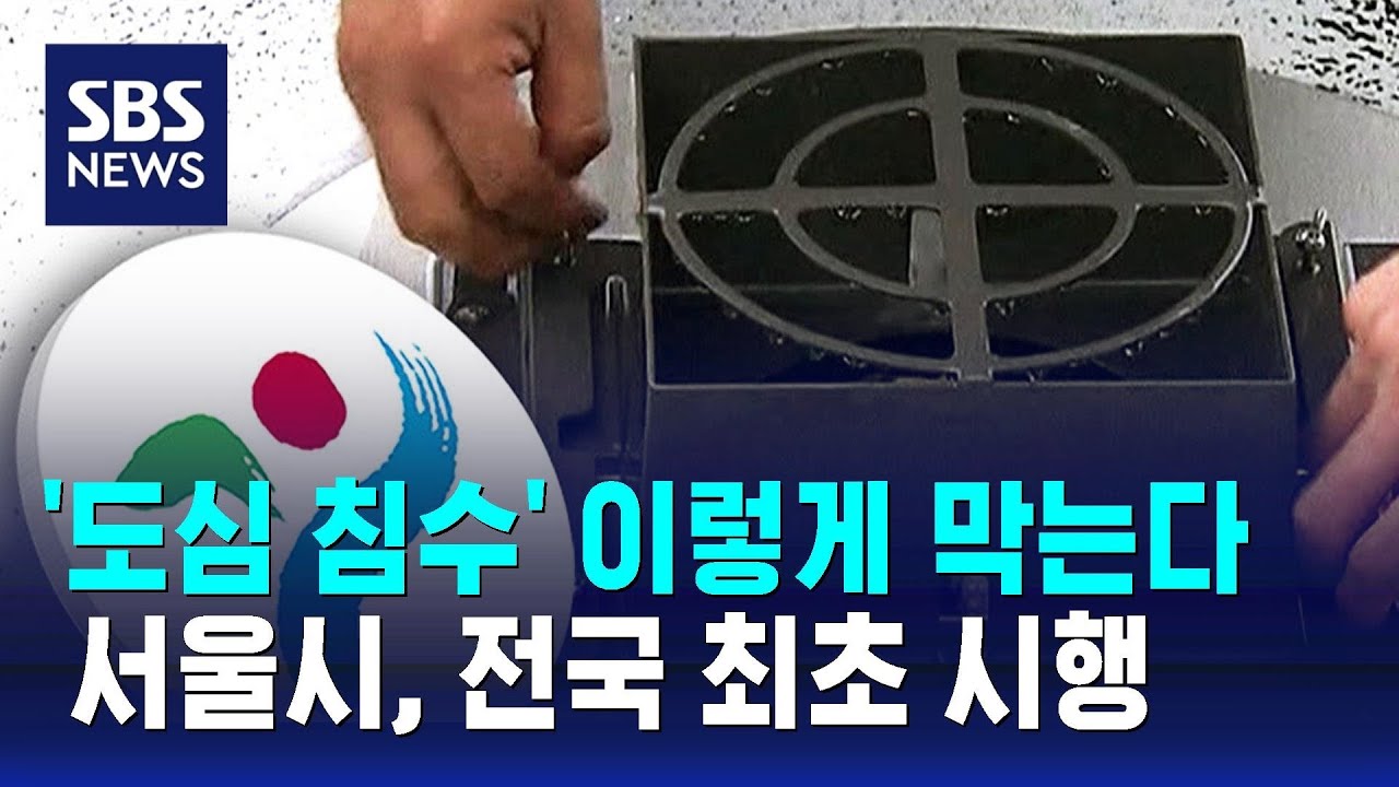 '도심 침수' 이렇게 막는다…서울시, 전국 최초로 시행 / SBS
