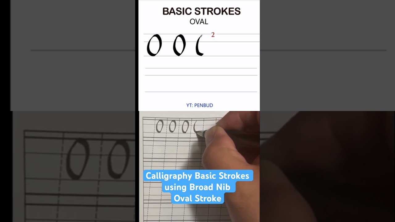 Calligraphy Basic - Oval Stroke using Broad Nib Pen #calligraphy #learncalligraphy #fountainpen