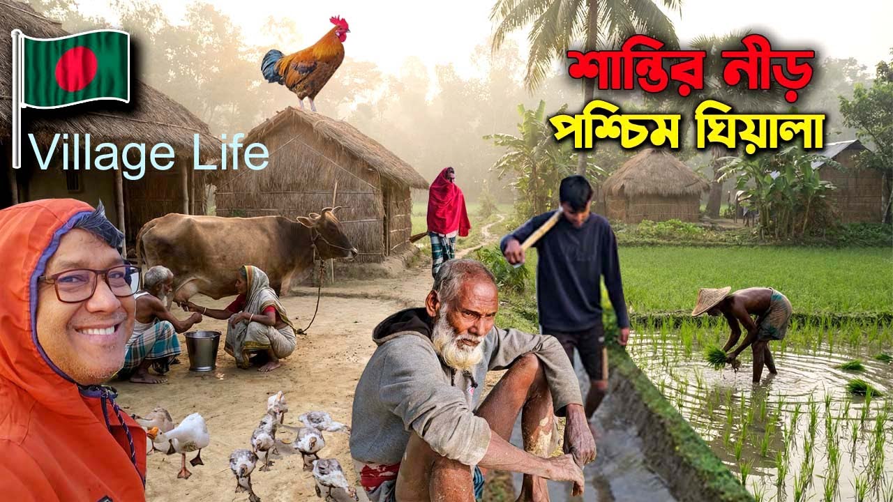 শান্তির নীড় | শহরের কোলাহল ছেড়ে গ্রামের সকালের প্রকৃত সৌন্দর্য | Morning Village Life in West Ghiala