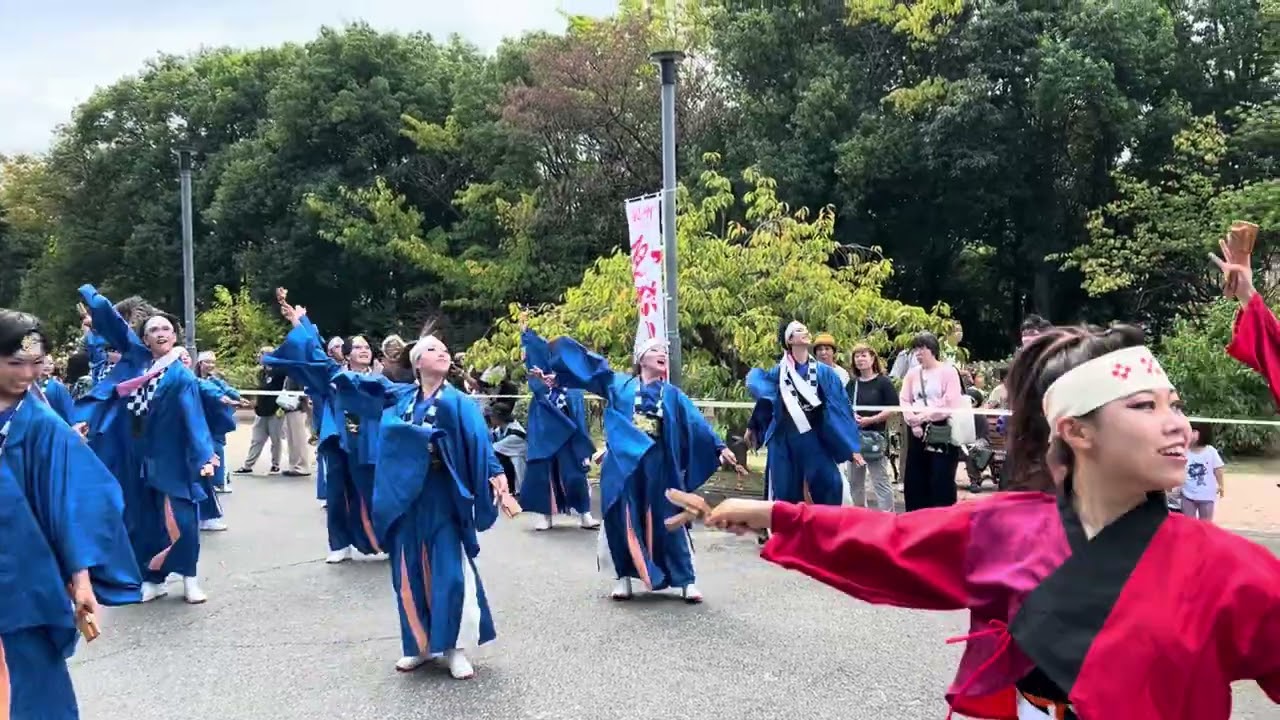 Yosakoi Dances at Sports Day Festival | Rinku Town, Osaka