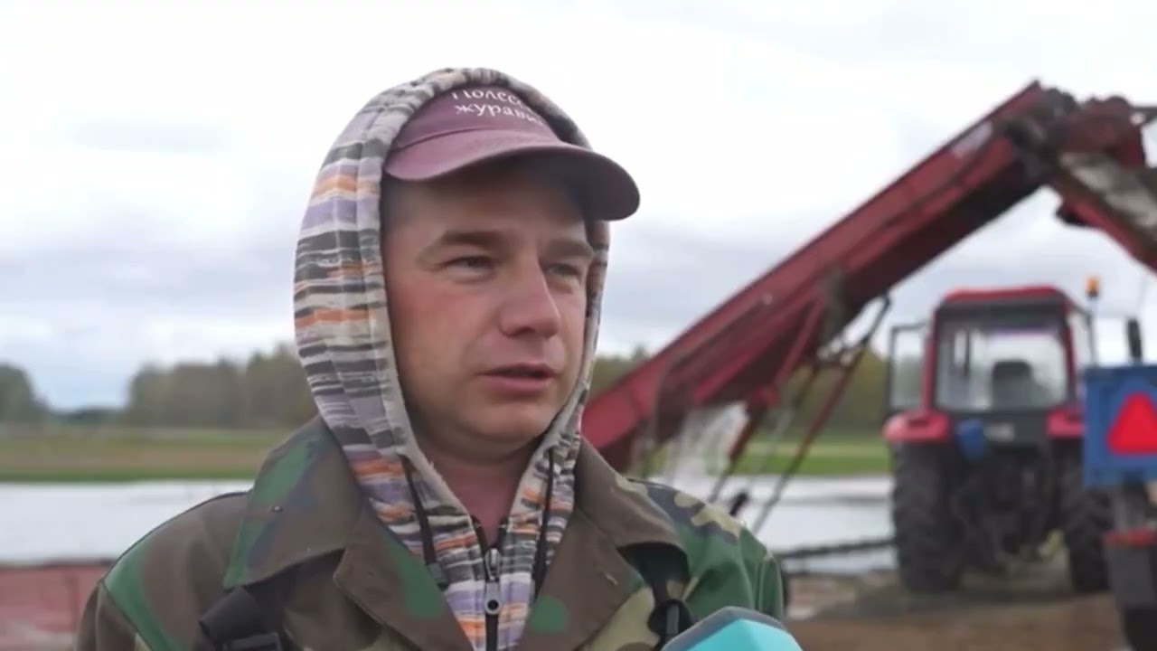 Полесские журавины