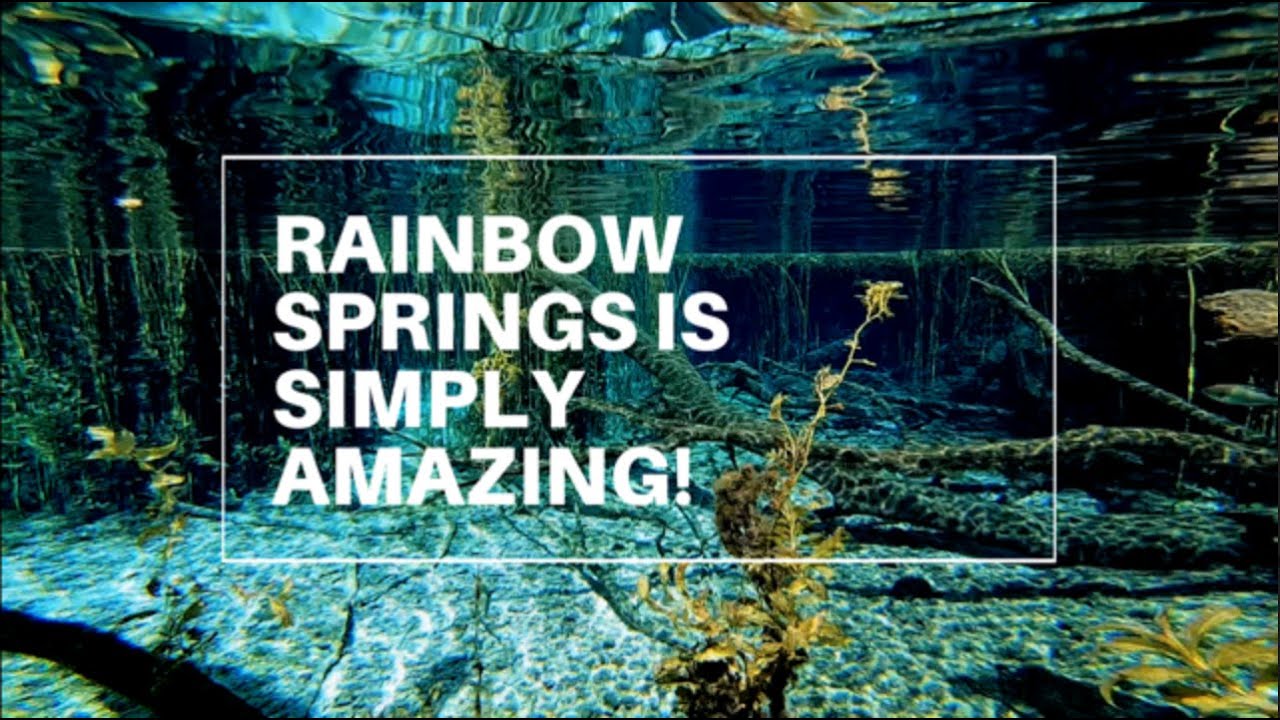 Rainbow Springs State Park Tour & Review | Florida Vacation | Florida Springs