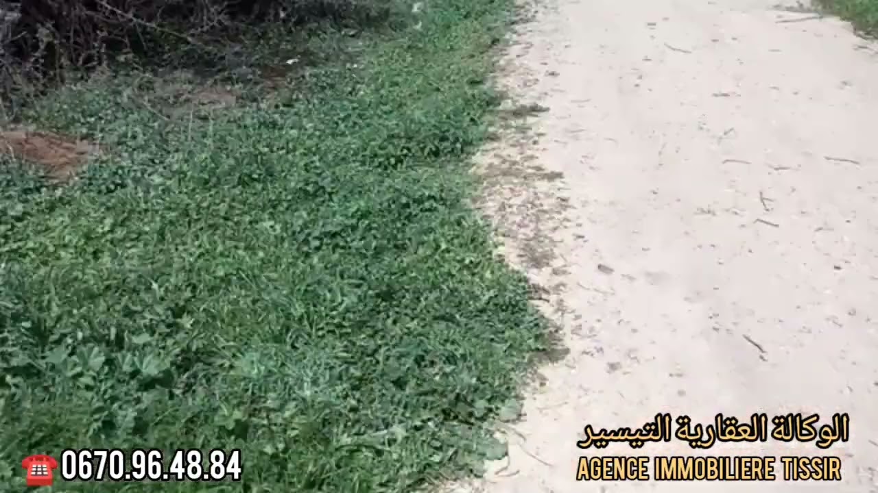 نواحي مكناس على بعد 14 كلم أرض فلاحية 1000 متر مربع تيتر  فيها المنزل و الكوري للتواصل 0670964884☎️