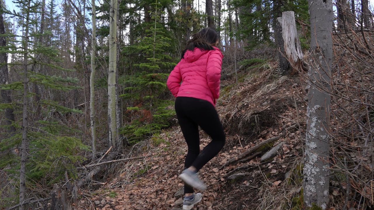 Tumbler Ridge, BC- Hiking Nesbitt's Knee and Barbour Falls