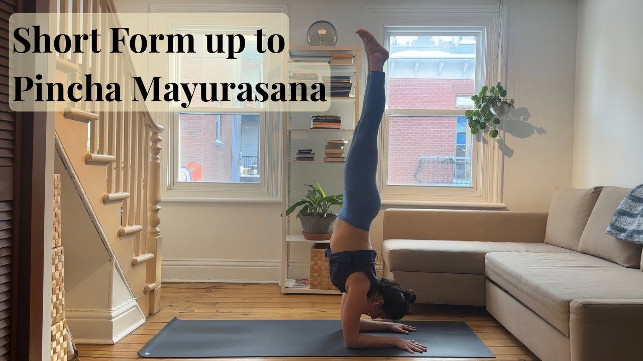 Ashtanga Intermediate Series Short Form up to Pincha Mayurasana